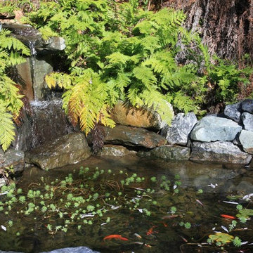 Water Features
