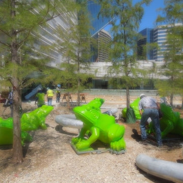 Leap Frog Forest