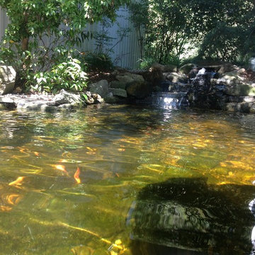 Ecosystem Ponds