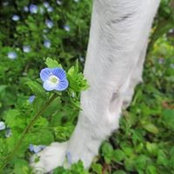 Foto von Lynn Bodkin