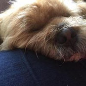 Vikki Herrett's photo
