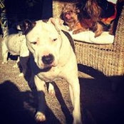 Nerea Del Sol's photo