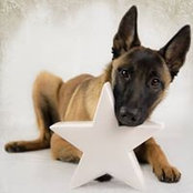 Sabine Baumgartner's photo