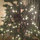 jamie_moore66