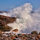 Paul Nazzaro's photo