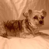Kim Bechel's photo