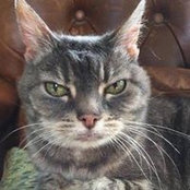 Gary Stewart's photo