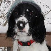 Debbie McLennan's photo