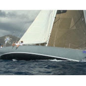 stuart davis's photo