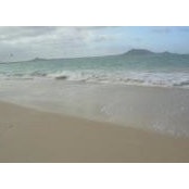 Kinau Hurley's photo