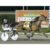Howard Gelfand's photo
