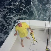 Timothy Gleason's photo