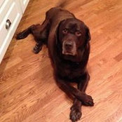 Maria Tierney's photo