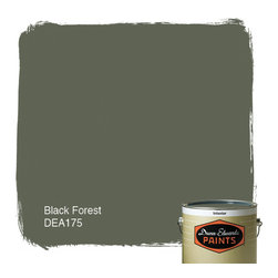 Dunn-Edwards Paint Black Forest DEA175 - Paint