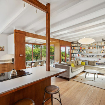 Mill Valley House