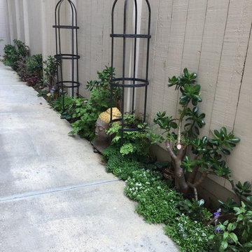 Garden path makeover