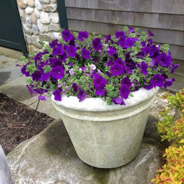 Seasonal Container Plantings & Changeovers
