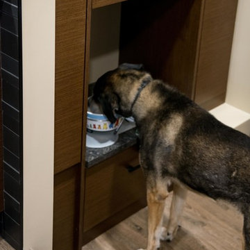 Dog Feeding Ledge