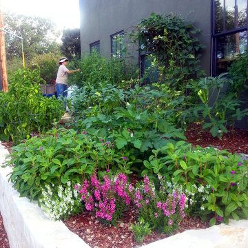 Jeffrey's Garden