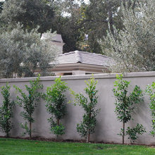 hedges, vines, columns, trees