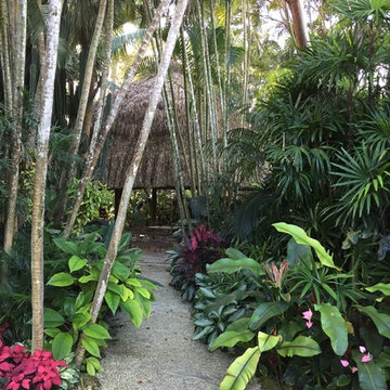 Tropical path.