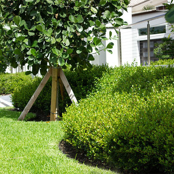 Hedge hug