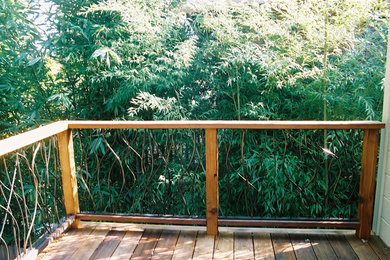 This is an example of a contemporary landscaping in San Francisco.