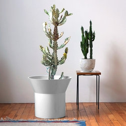 Neu Planter - Products
