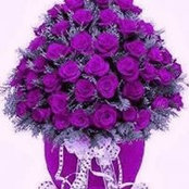 Donna Gower's photo