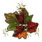 Donna McPherson's photo
