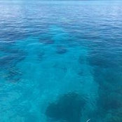 Mary Sobyra Bream's photo