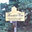 Mountain View Real Log Homes