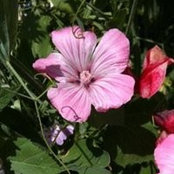 Lori Eugenio's photo