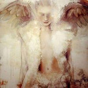 Michele Accardi's photo