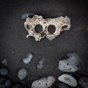 Jeramy Cooke's photo
