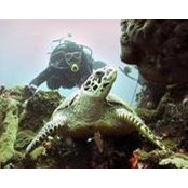 Jonathan Chan's photo