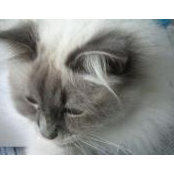 Marti Flores's photo