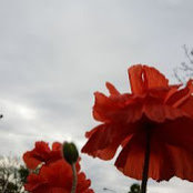 christ Yang's photo