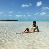 Stephanie Huang's photo