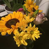 Tanya Zeiher's photo