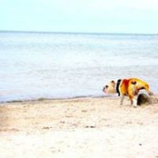 Foto von Uschi Sonderlich