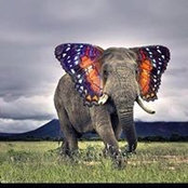 Foto von Peggy Trezza