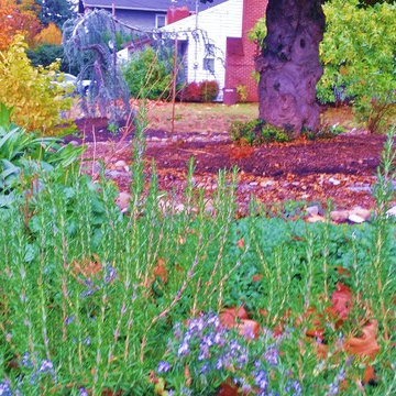 Woodstock Craftsman Cottage Rain Garden