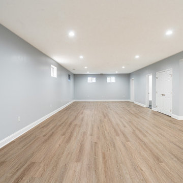 Basement Remodel