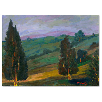 'Evergreens on a Green Slope' Canvas Art by Manor Shadian