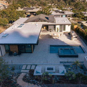 niguel west mid-century modern