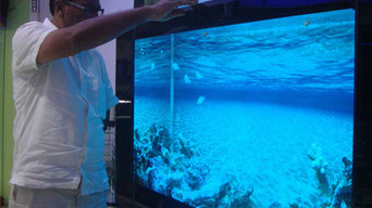 Marine Aquarium