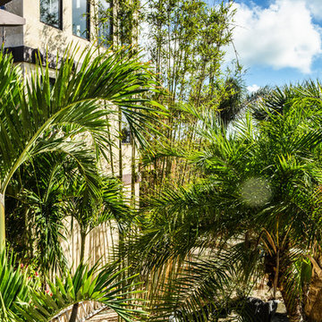 Tropical Architecture