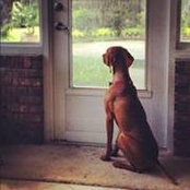 Ana Cunha-Carr's photo