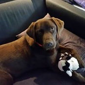 Ange Hadfield's photo